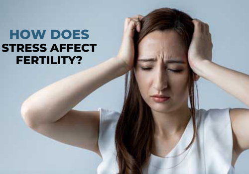 Fertility treatment in malviya nagar jaipur